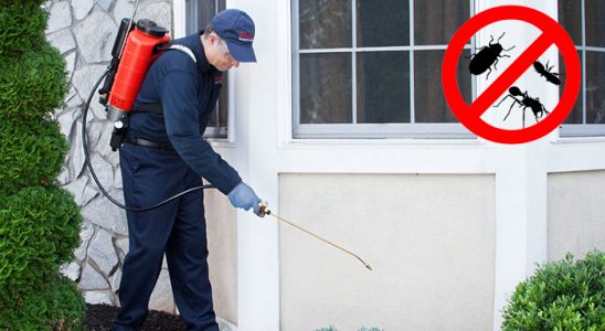 Seyhan Hamam Böceği İlaçlama böcek ilaçlama ve haşere kontrolü — ilaclama-tr.com